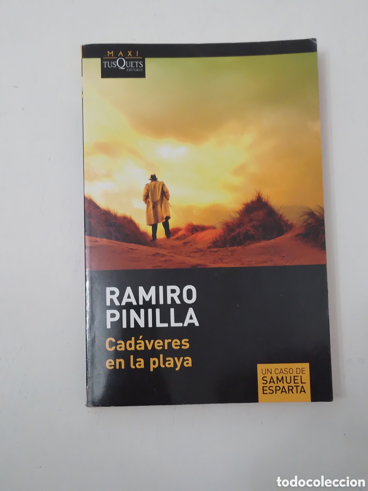 Libros de segunda mano: Ramiro Pinilla. Cad&aacute;veres en la playa. Maxi Tusquets, 1a ed. sep. 2015..Bolsillo.