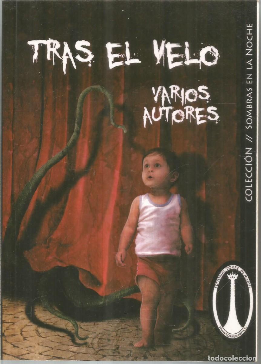 Gebrauchte B&uuml;cher: TRAS EL VELO. AA.VV. EDICIONES TORRE DE MARFIL