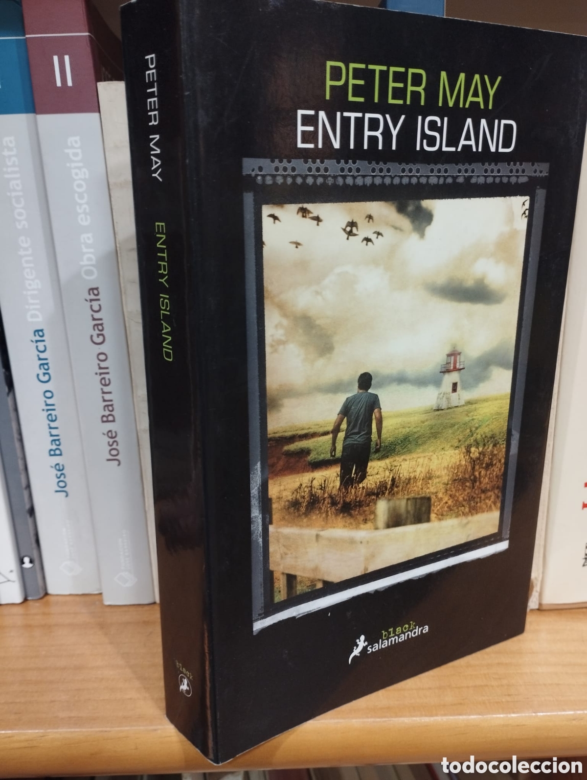 Gebrauchte B&uuml;cher: Entry Island - Peter May