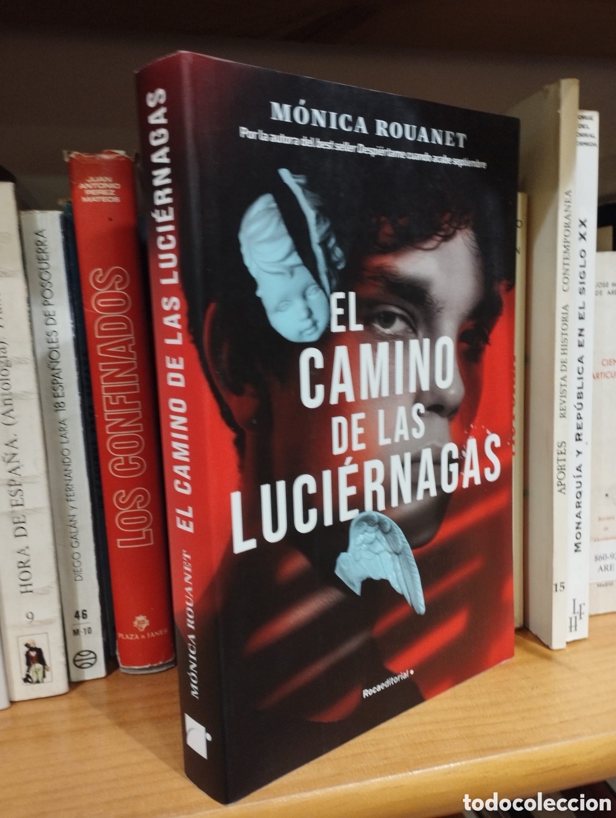 Gebrauchte B&uuml;cher: El camino de las luci&eacute;rnagas - M&oacute;nica Rouanet