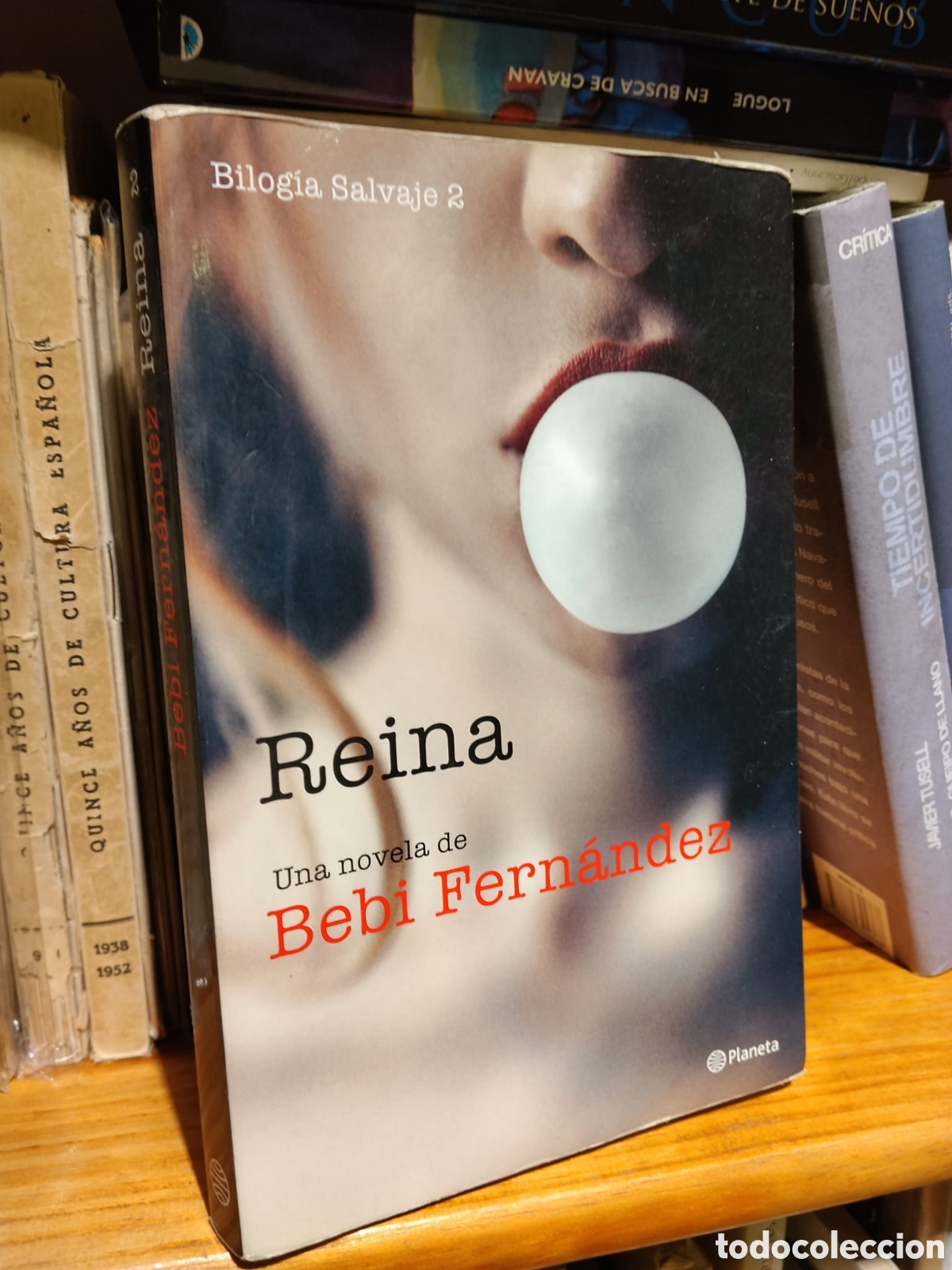 Gebrauchte B&uuml;cher: Reina - Bebi Fern&aacute;ndez