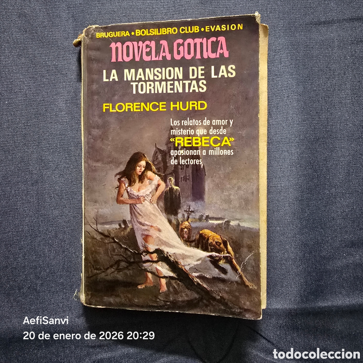 Libros de segunda mano: NOVELA GOTICA: LA MANSI&Oacute;N DE LAS TORMENTAS (FLORENCE HURD) (BRUGUERA)