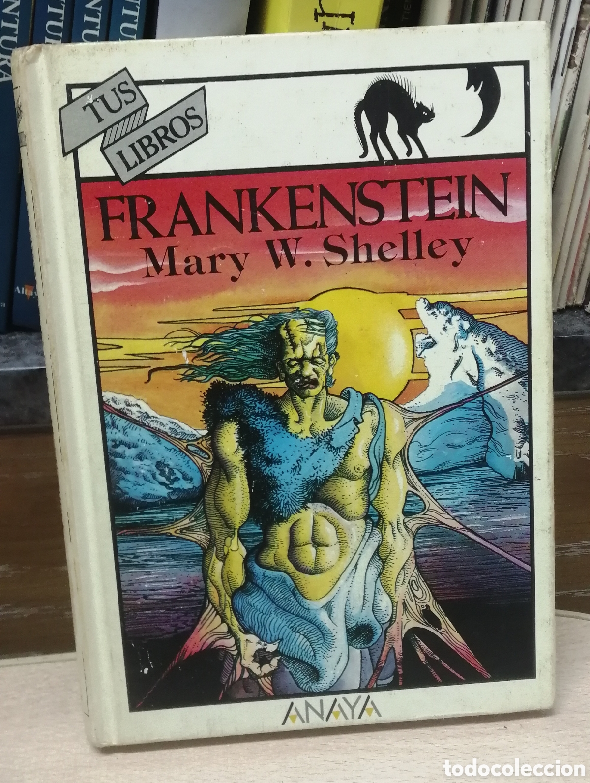 Libros de segunda mano: Frankenstein Mary W. Shelley Tus Libros Anaya N&uacute;mero 24