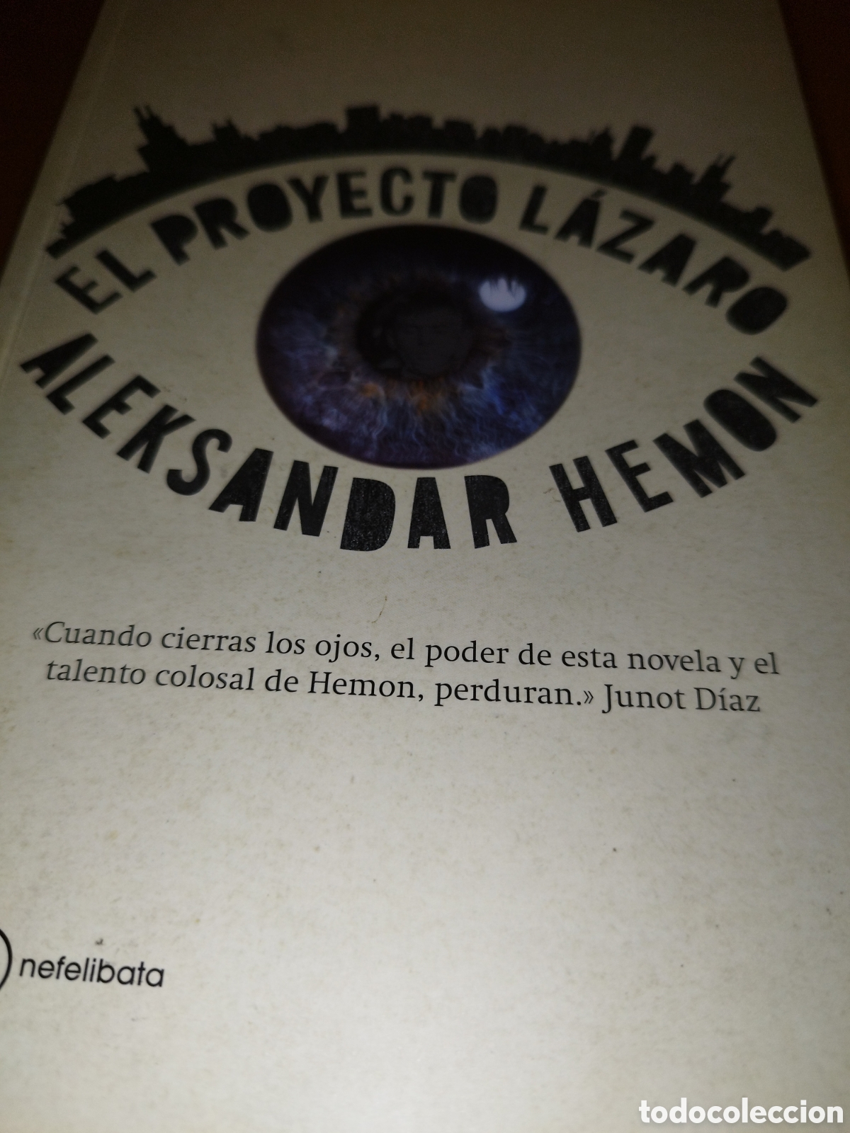 Libros de segunda mano: ALEKSANDAR HEMON: EL PROYECTO LAZARO. ED. DUOMO NEFELIBETA, 2009 PRIMERA EDICION.