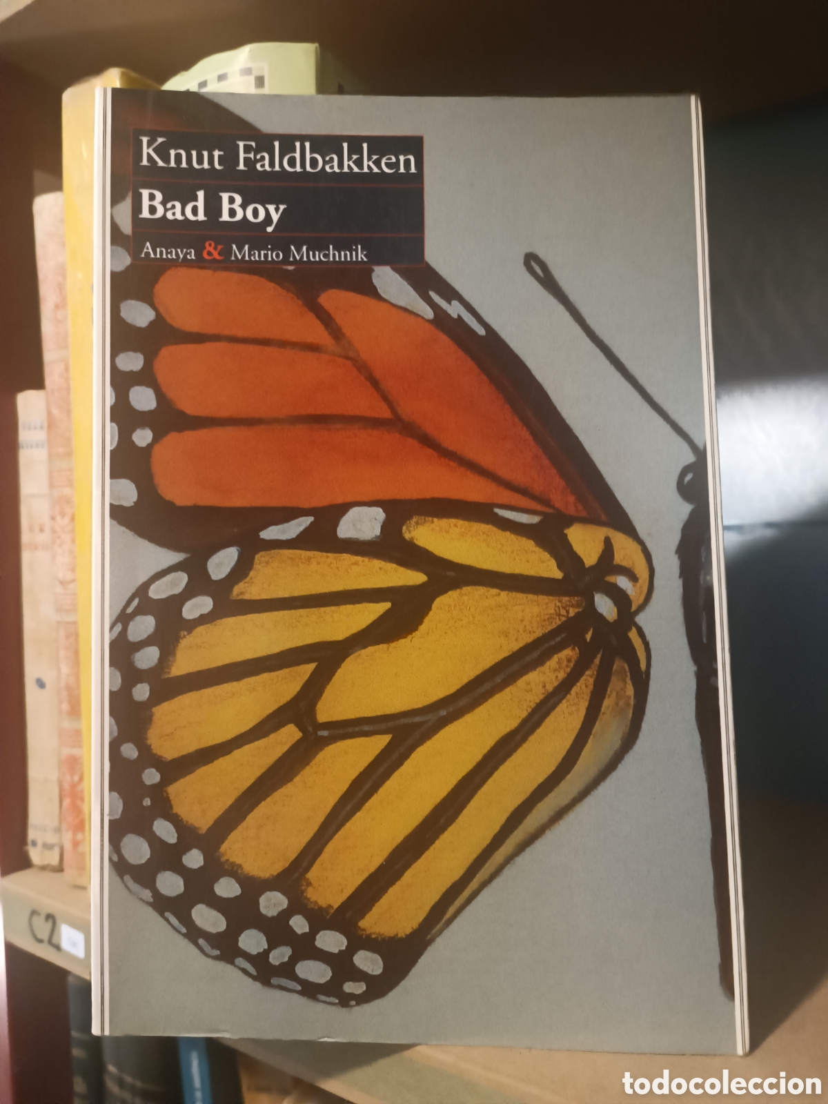 Libros de segunda mano: Bad Boy, Knut Faldbakken. Anaya. Mario Muchnik, 1995. Tapa blanda, solapa, 290 pp