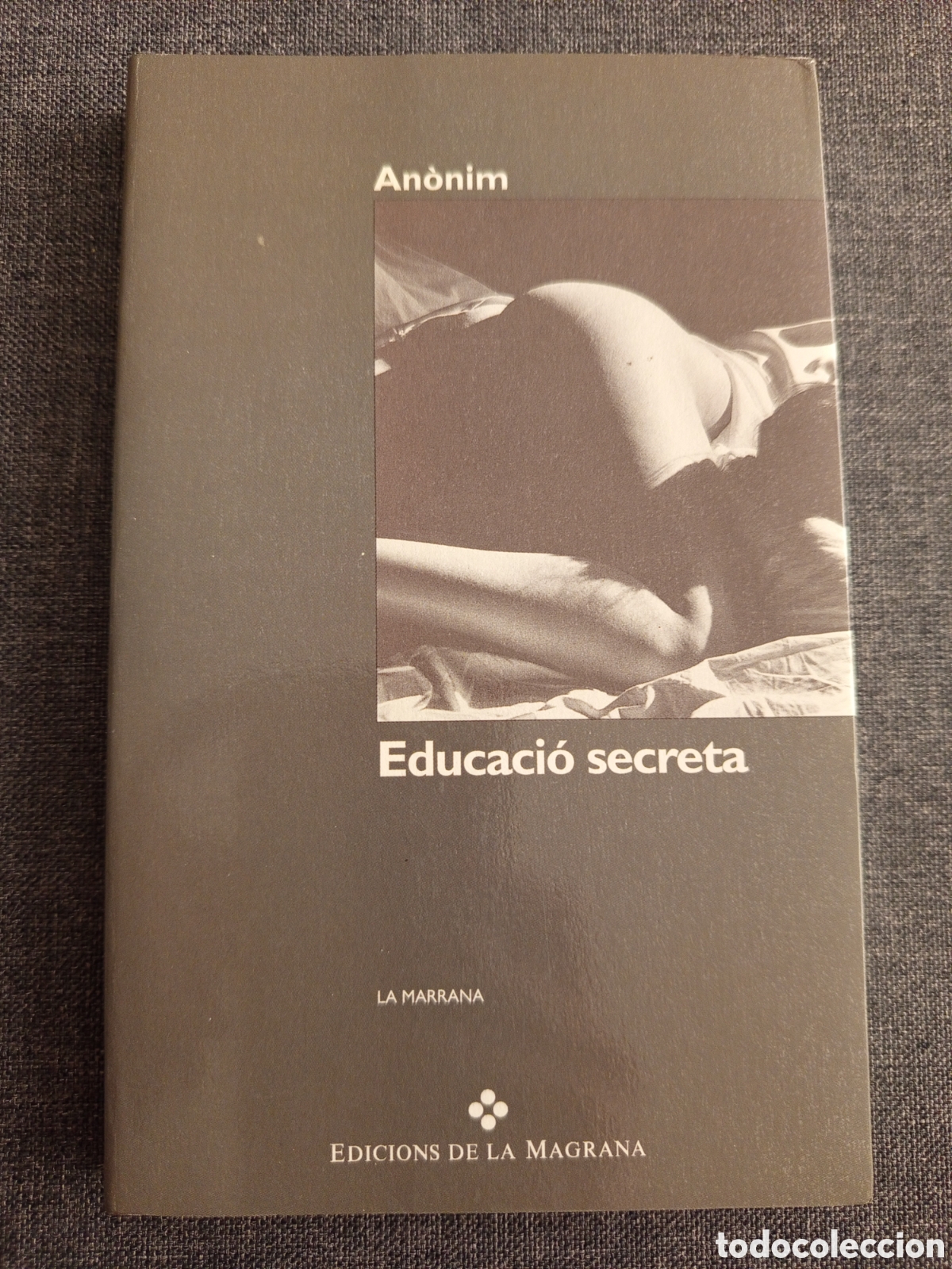 Libros de segunda mano: EDUCACIO SECRETA (ANONIM)