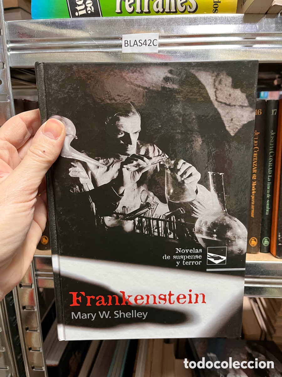 Libros de segunda mano: Blas42C Frankenstein Mary W. Shelley