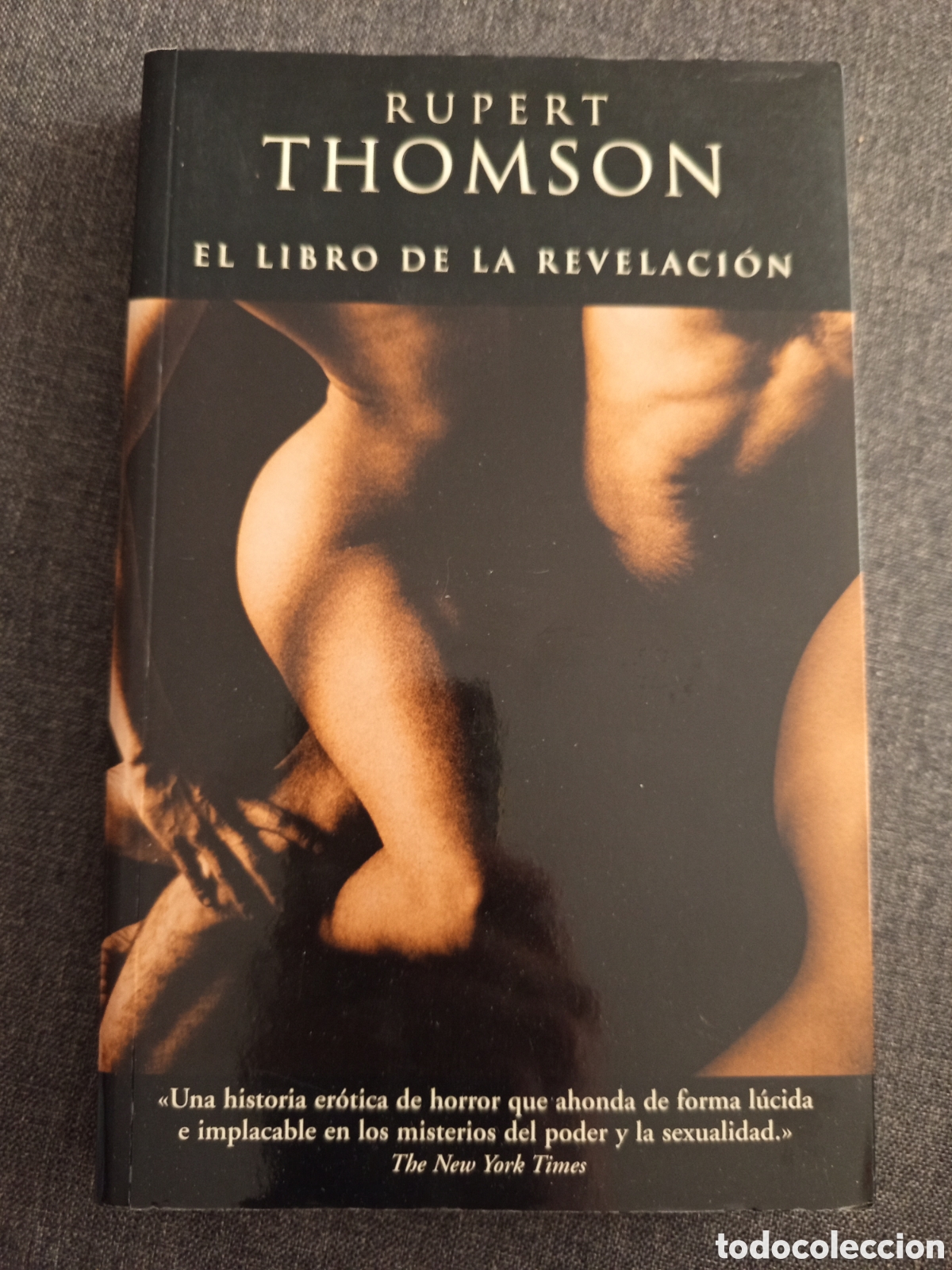 Libros de segunda mano: EL LIBRO DE LA REVELACION (RUPERT THOMSON)