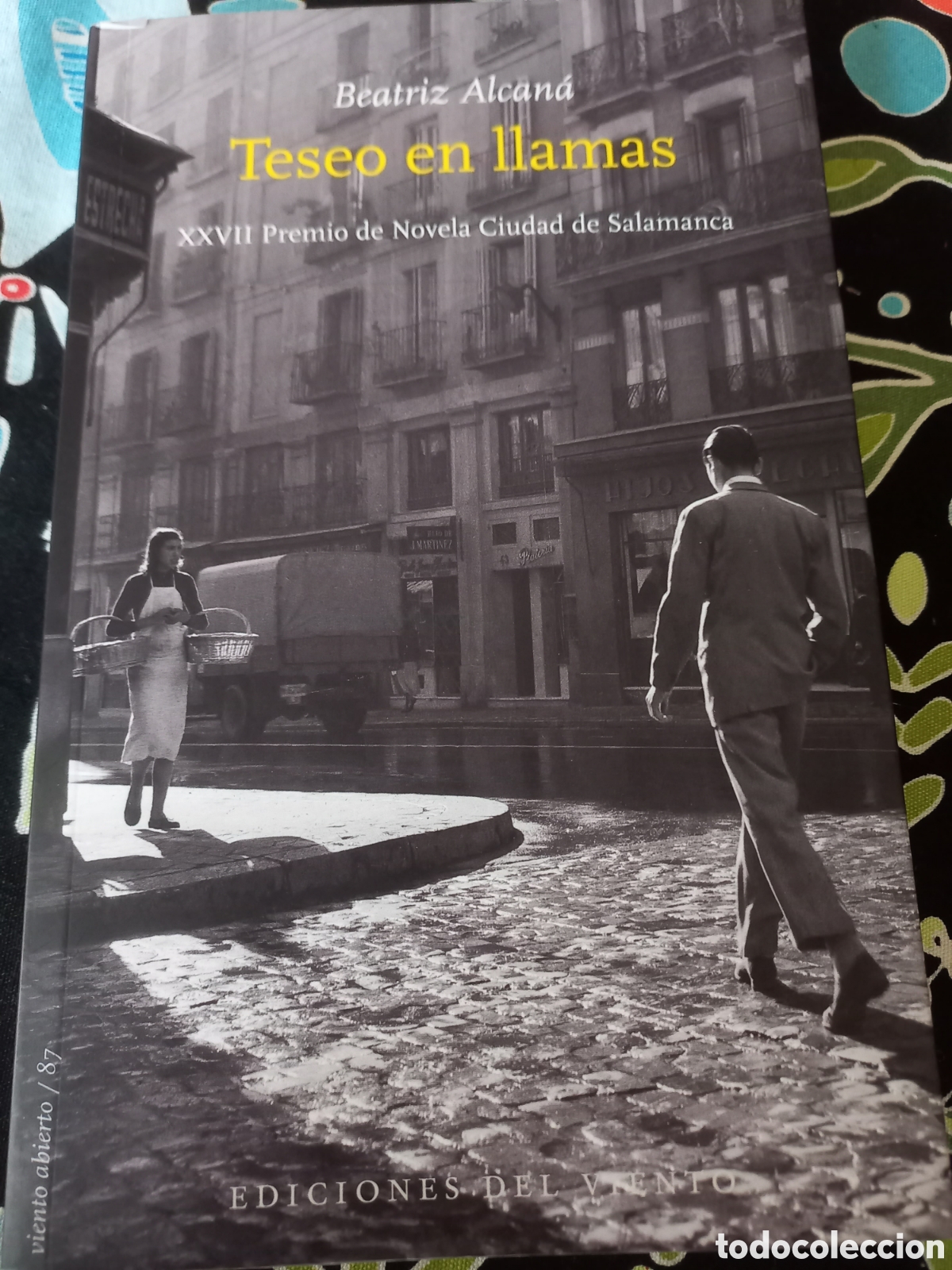 Libros de segunda mano: Teseo en llamas Beatriz Alcan&aacute; Ediciones del Viento Premio Ciudad de Salamanca