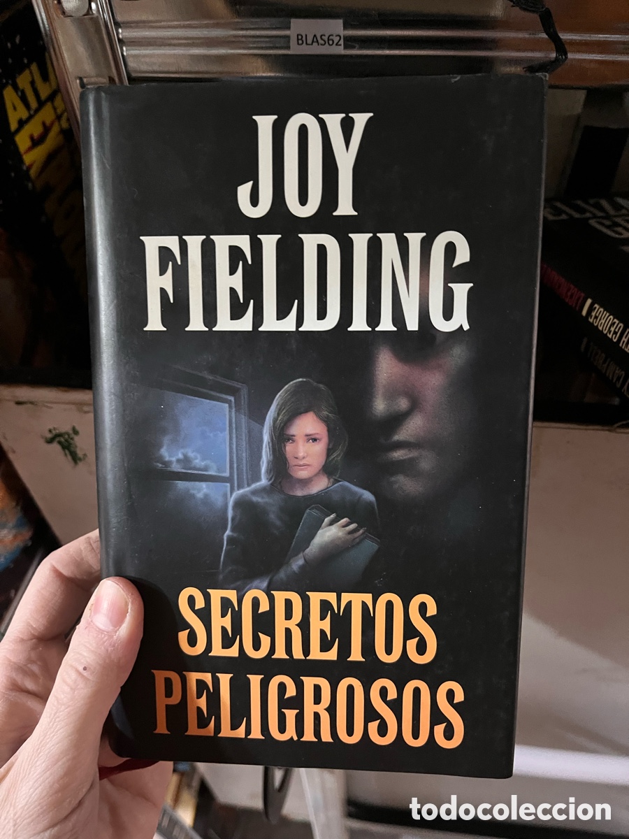 Livros em segunda m&atilde;o: BLAS62 JOY FIELDING SECRETOS PELIGROSOS
