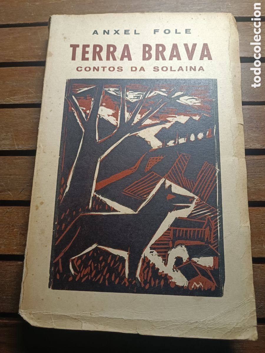 Libros de segunda mano: TERRA BRAVA. CONTOS DA SOLAINA. ANXEL FOLE. GALAXIA, 1955 PRIMERA EDICI&Oacute;N. CARLOS MASIDE XOHAN LEDO