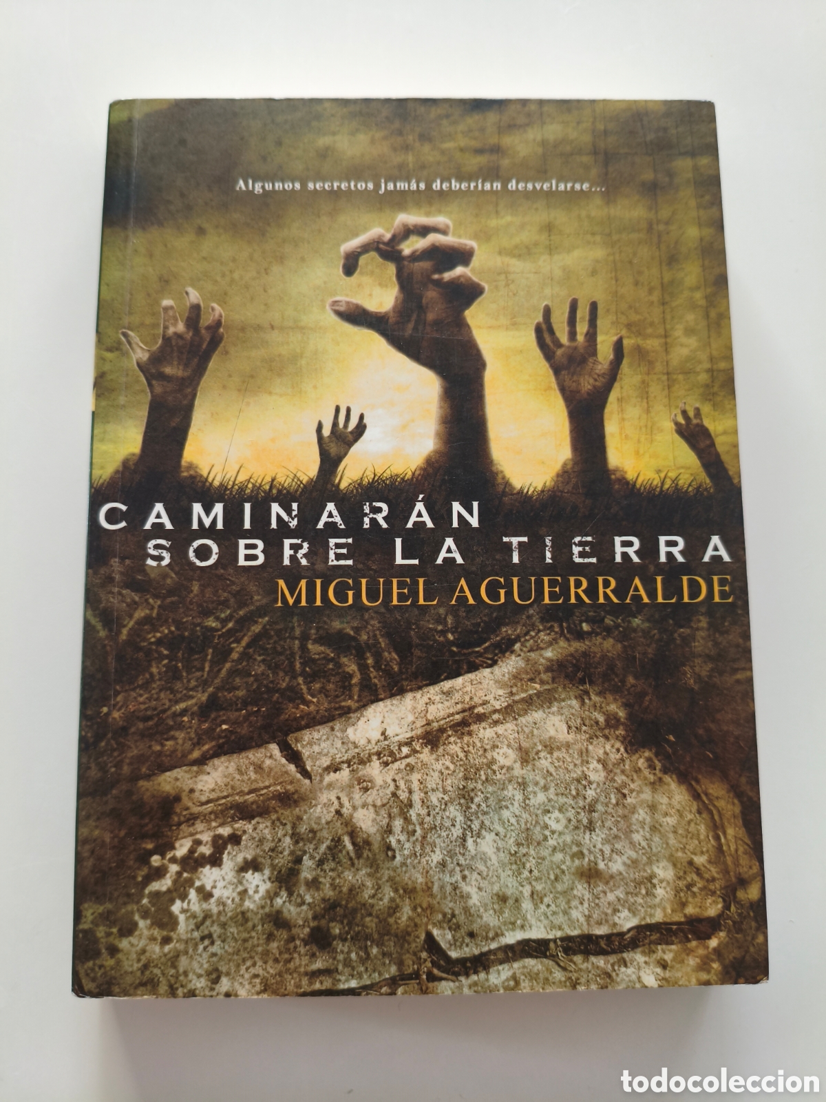 Libros de segunda mano: 935 - caminar&aacute;n sobre la tierra de Miguel Aguerralde