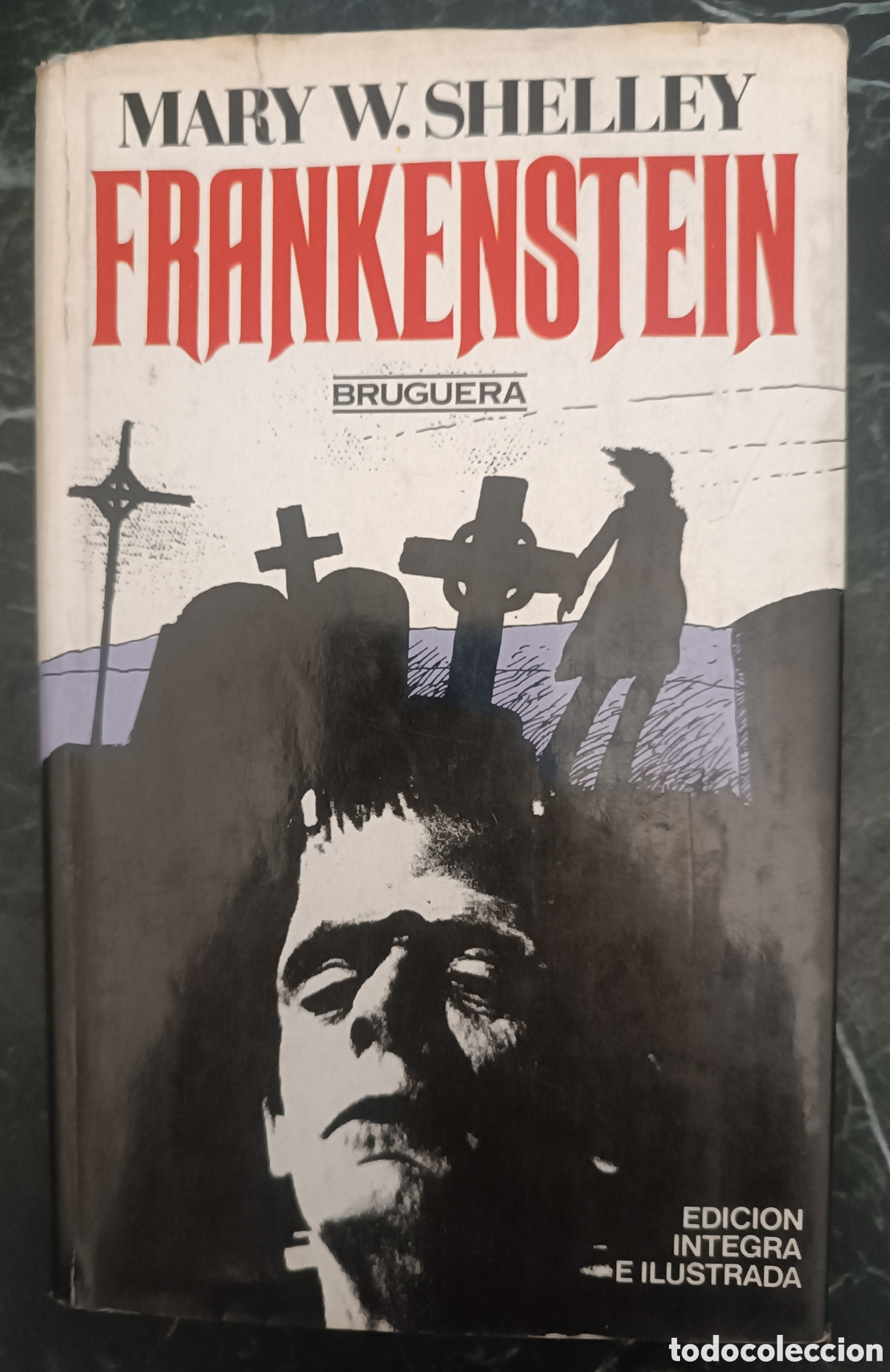 Libros de segunda mano: Frankenstein (Mary W. Shelley)