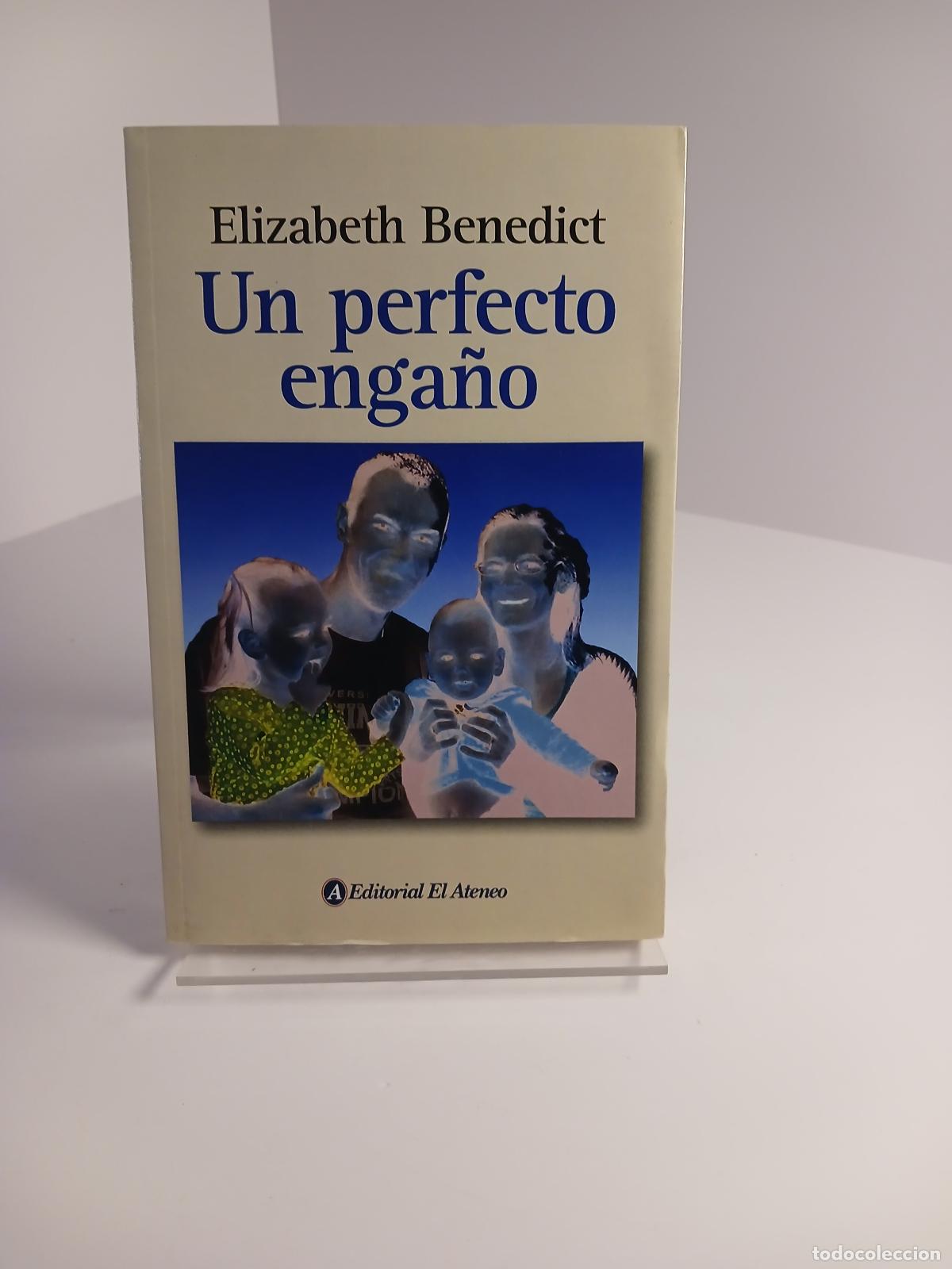 Libri di seconda mano: Un perfecto enga&ntilde;o - Elizabeth Benedict