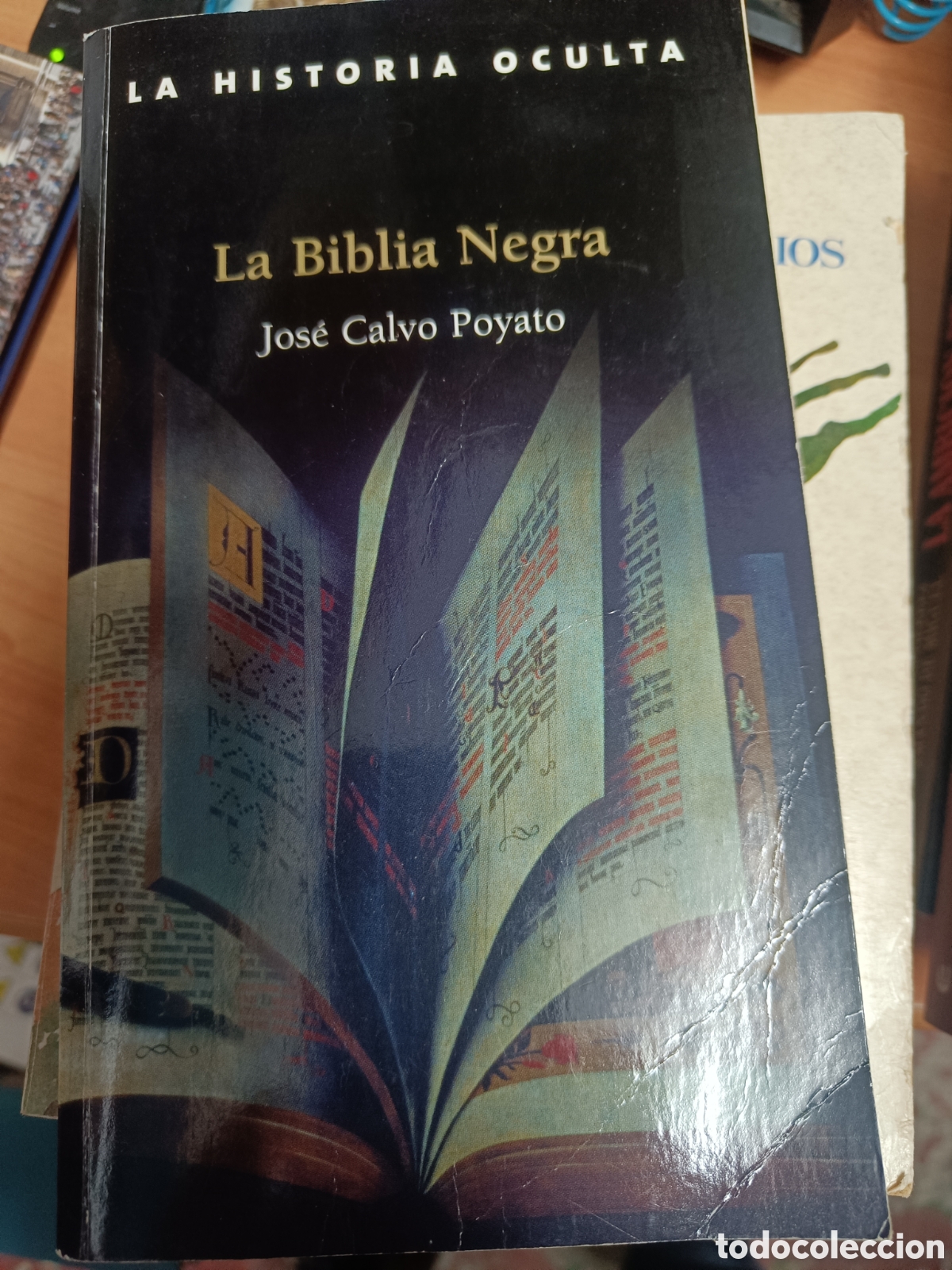 Libros de segunda mano: LA BIBLIA NEGRA. JOS&Eacute; CALVO POYATO. LA HISTORIA OCULTA.