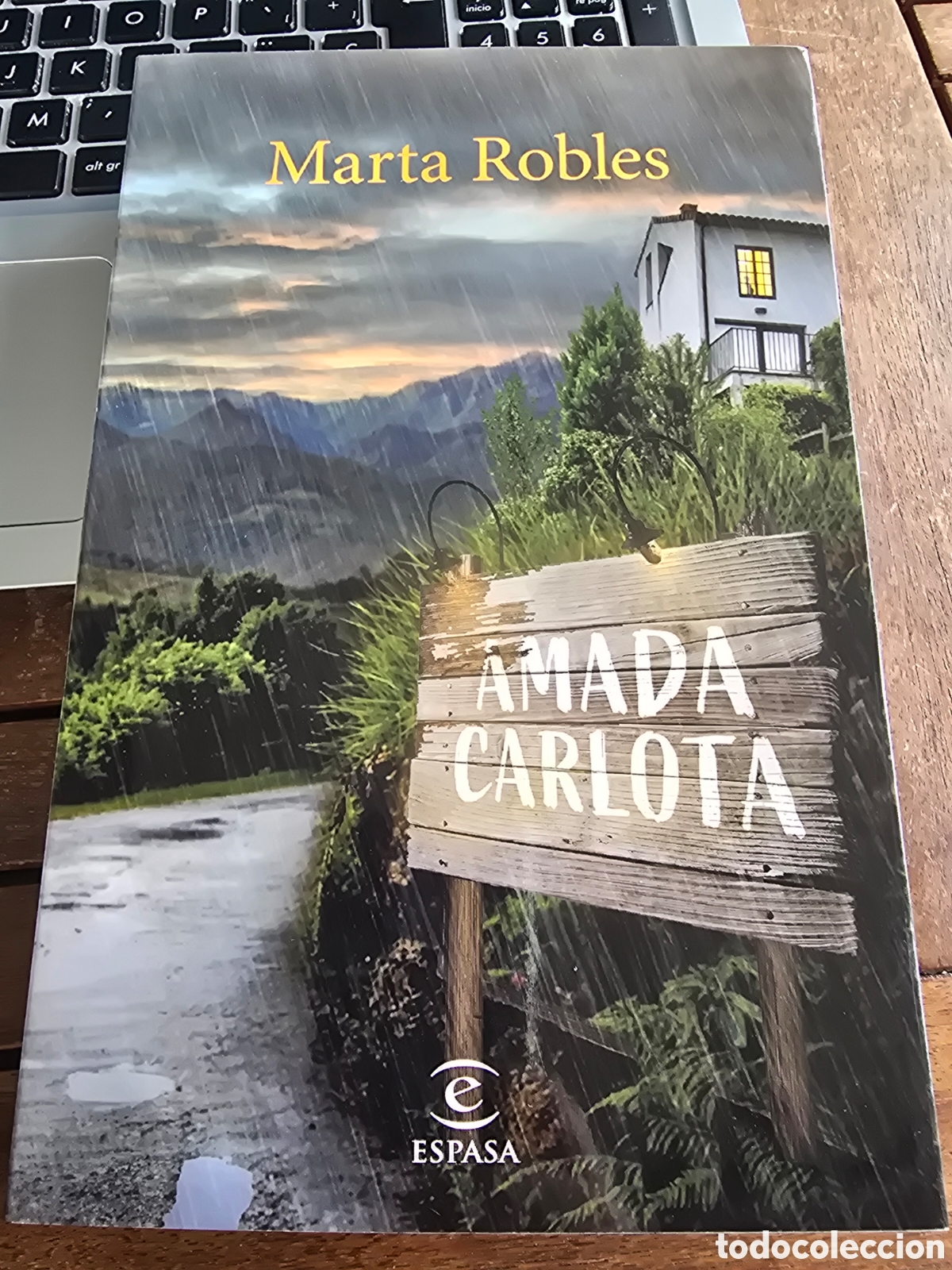 Libros de segunda mano: Amada Carlota Robles, Marta Editorial ESPASA CALPE 2025 NOVELA Thriller/suspense