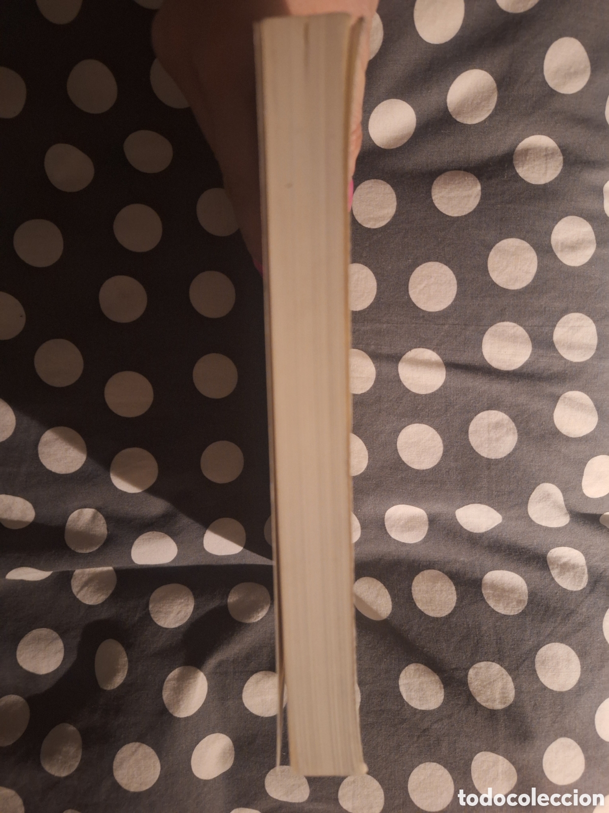 Libros de segunda mano: Libro &rdquo;Atando cabos&rdquo; E. Annie Proulx - Foto 3
