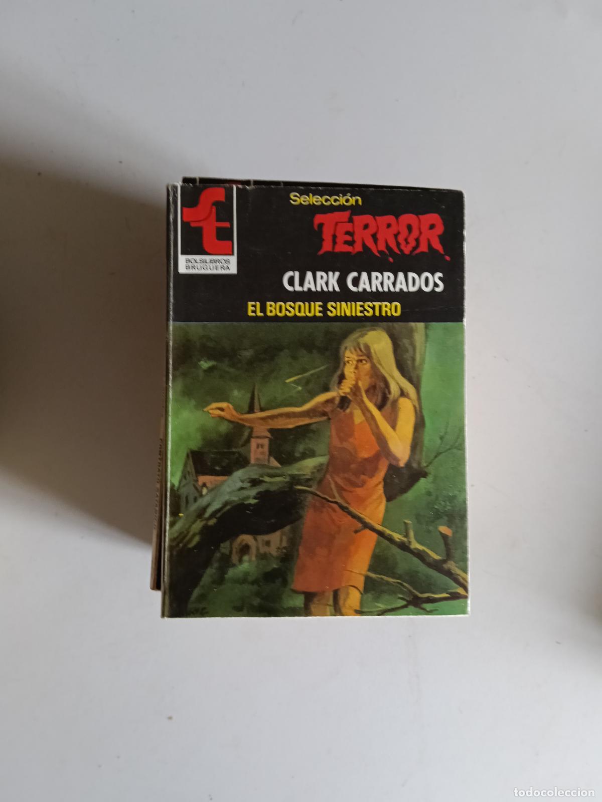 Libros de segunda mano: SELECCION TERROR N&ordm; 417 EL BOSQUE SINIESTRO