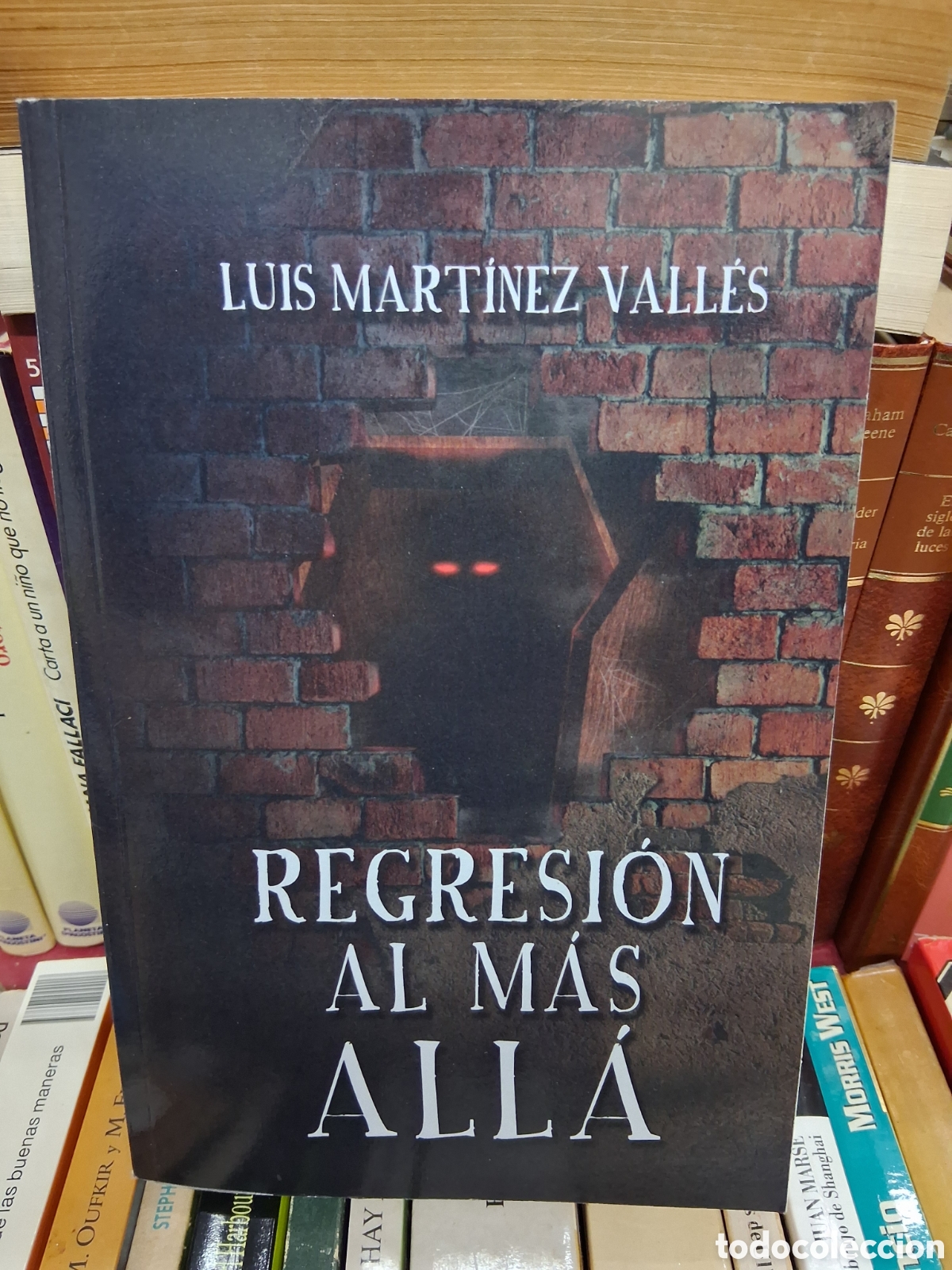 Libros de segunda mano: Regresi&oacute;n al m&aacute;s all&aacute; - Luis Martinez Valles - amazon - Terror