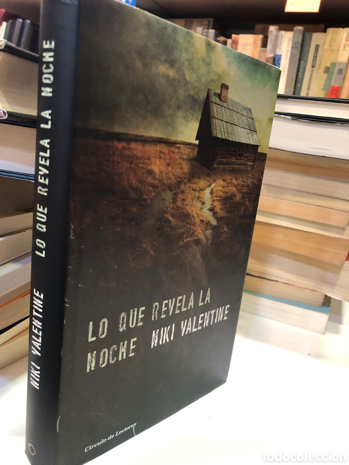 Livres d'occasion: Lo que revela la noche - Niki Valentine