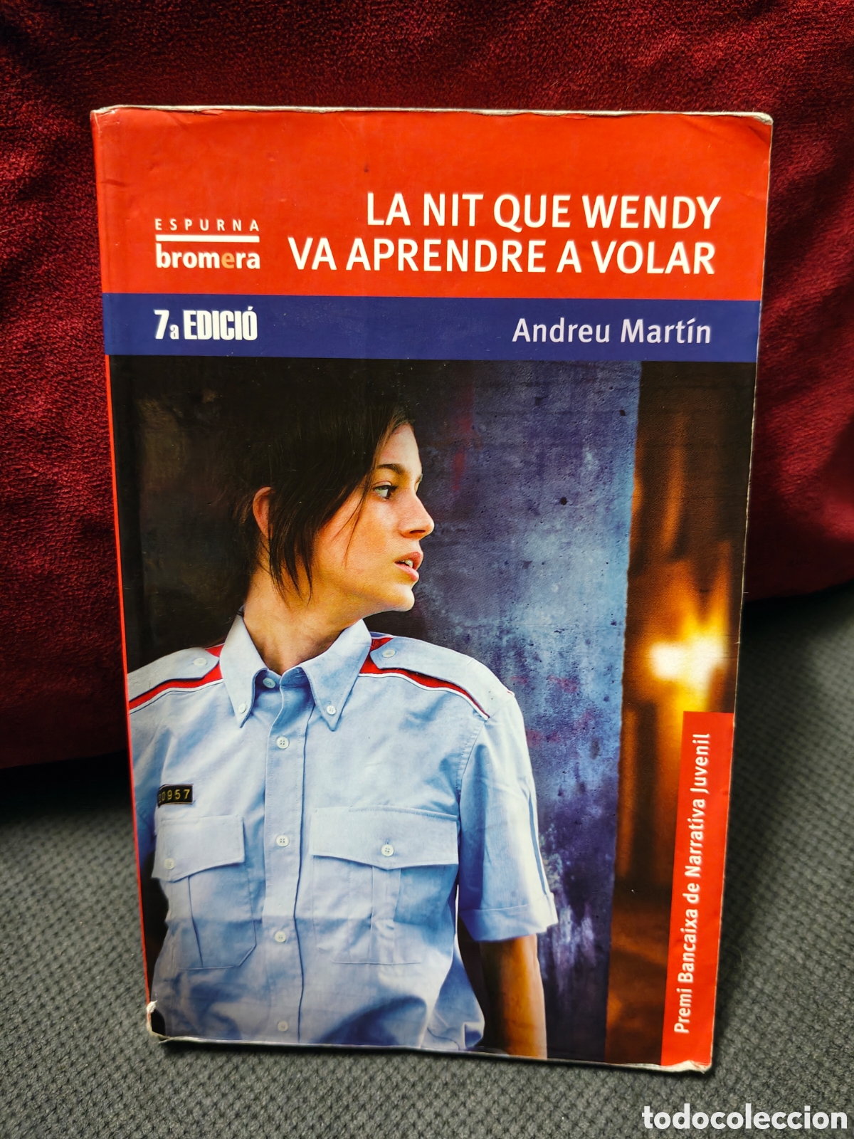 Libros de segunda mano: La nit que Wendy va aprender a volar, Andreu Mart&iacute;n