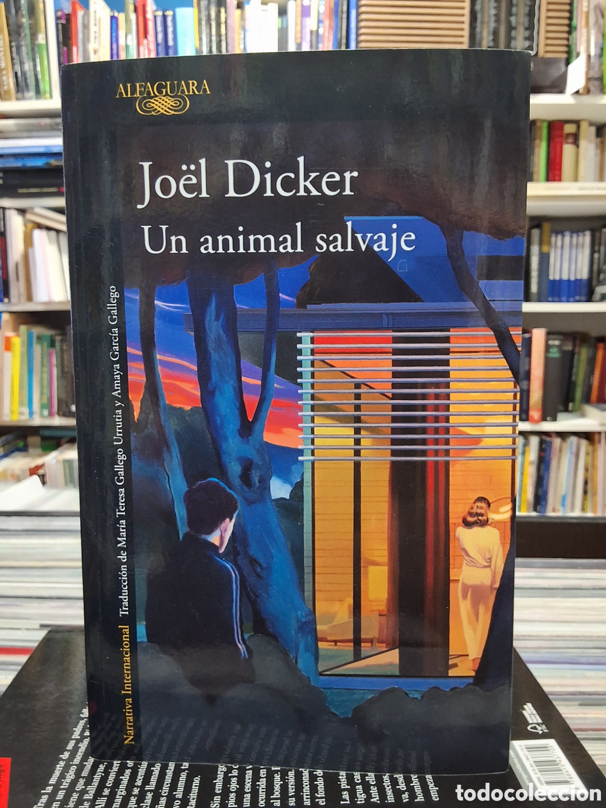 Libros de segunda mano: UN ANIMAL SALVAJE- JO&Euml;L DICKER