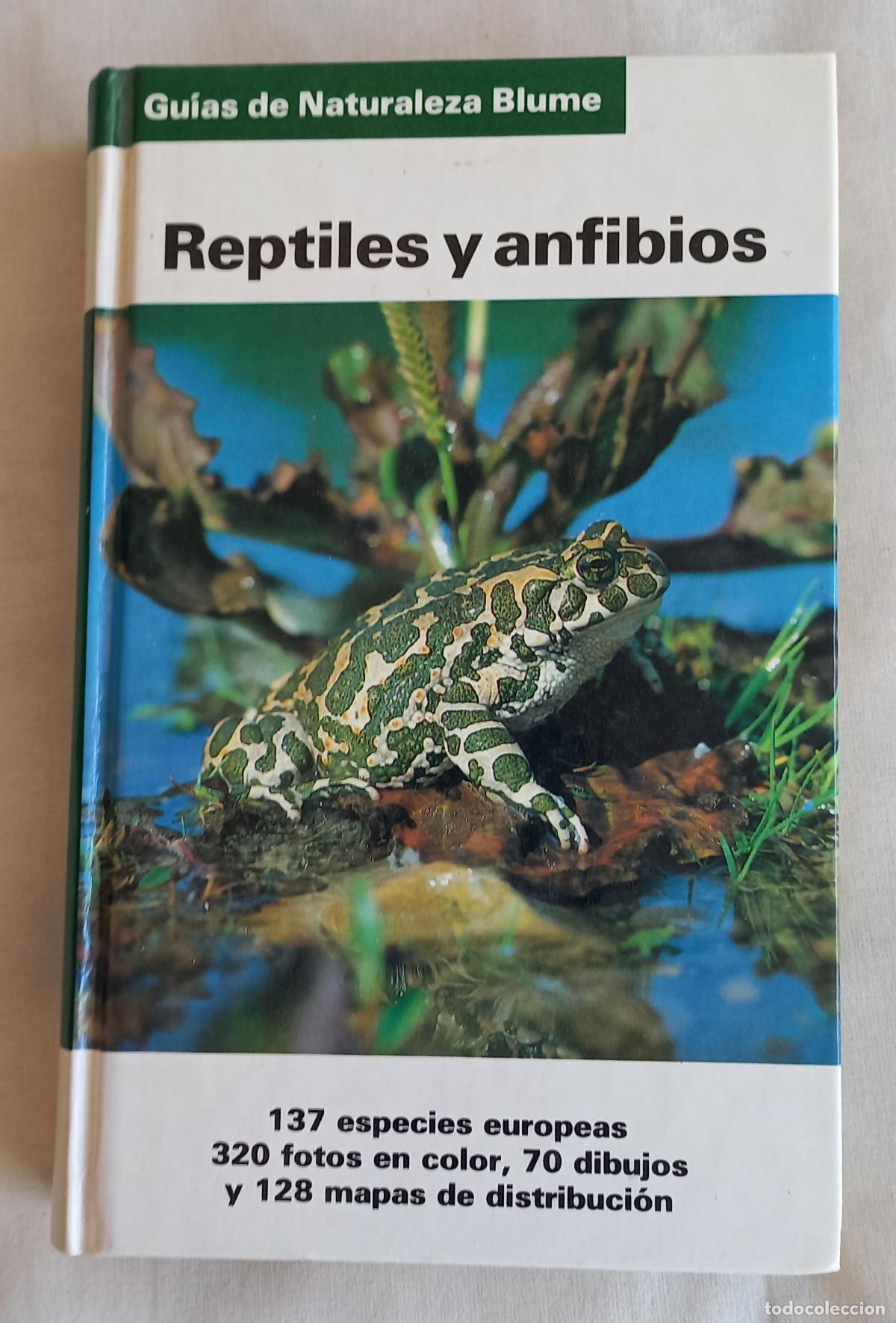 Libros de segunda mano: Reptiles y anfibios. Gu&iacute;as de Naturaleza Blume. Gunter Diesener Josef Reichholf. 1992