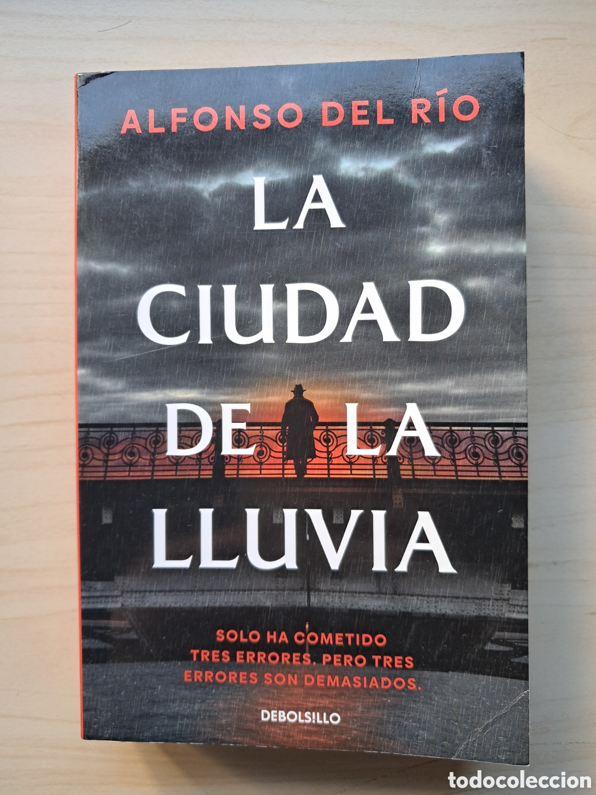 Libros de segunda mano: La ciudad de la lluvia, de Alfonso del Rio