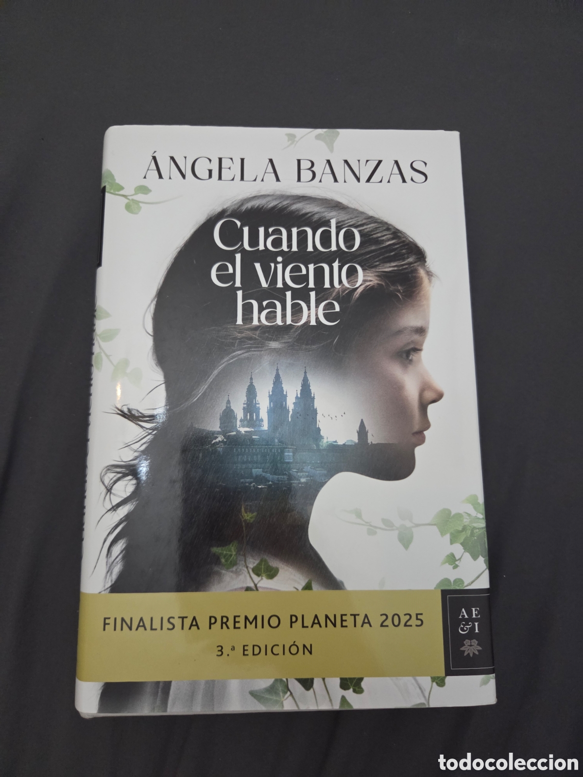 Libros de segunda mano: Cuando el viento hable. Angela Banzas