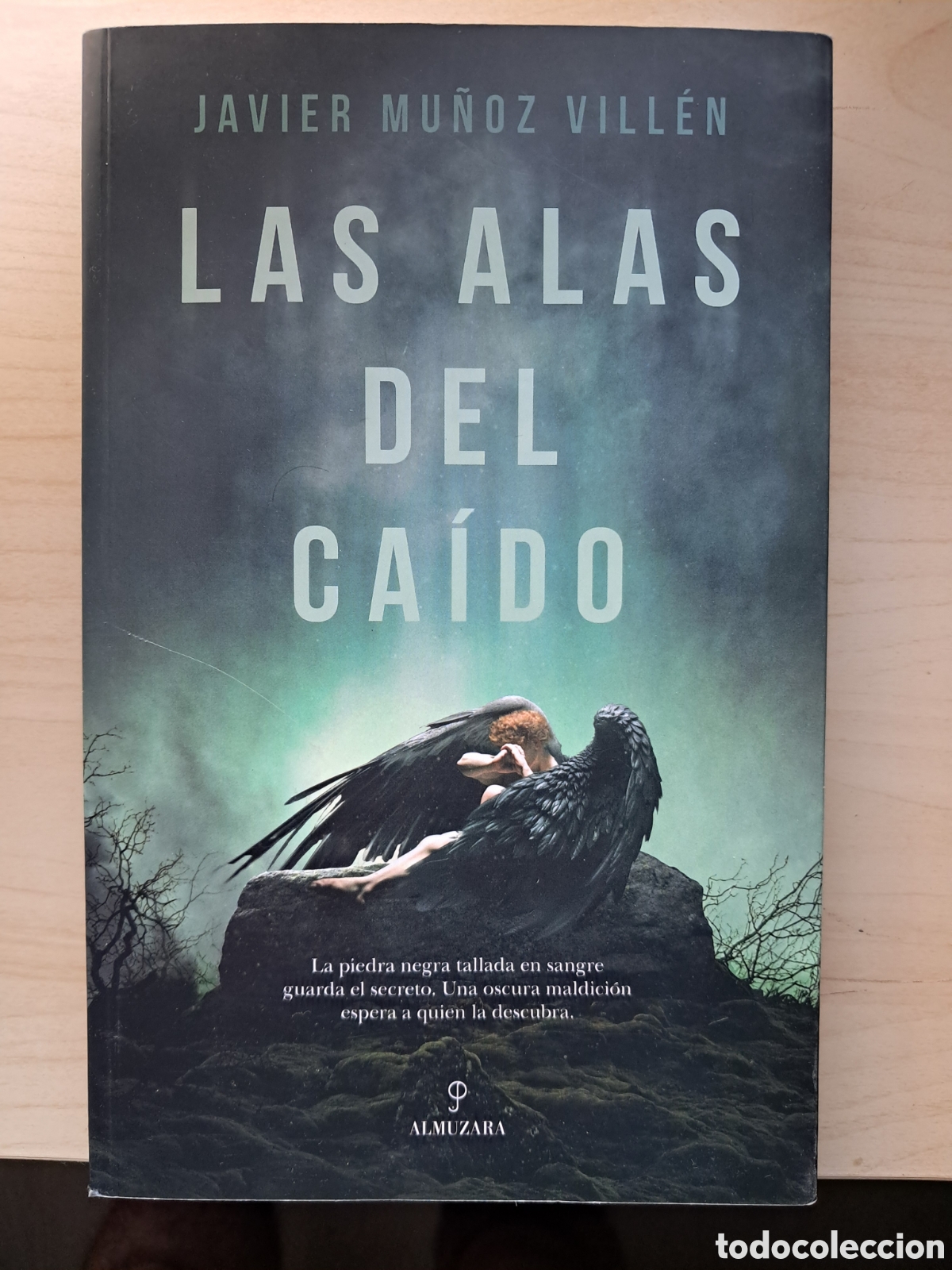 Libros de segunda mano: Las alas del caido, de Javier Mu&ntilde;oz Villen