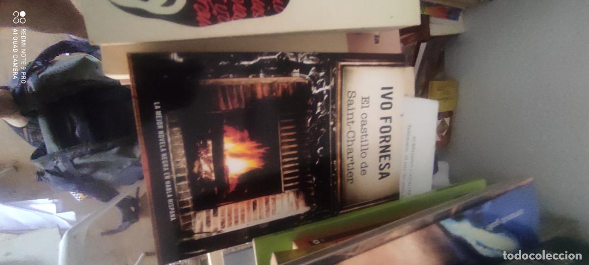 Libros de segunda mano: Ivo Fornesa: El castillo de Saint-Chartier (RBA Libros. 2013)