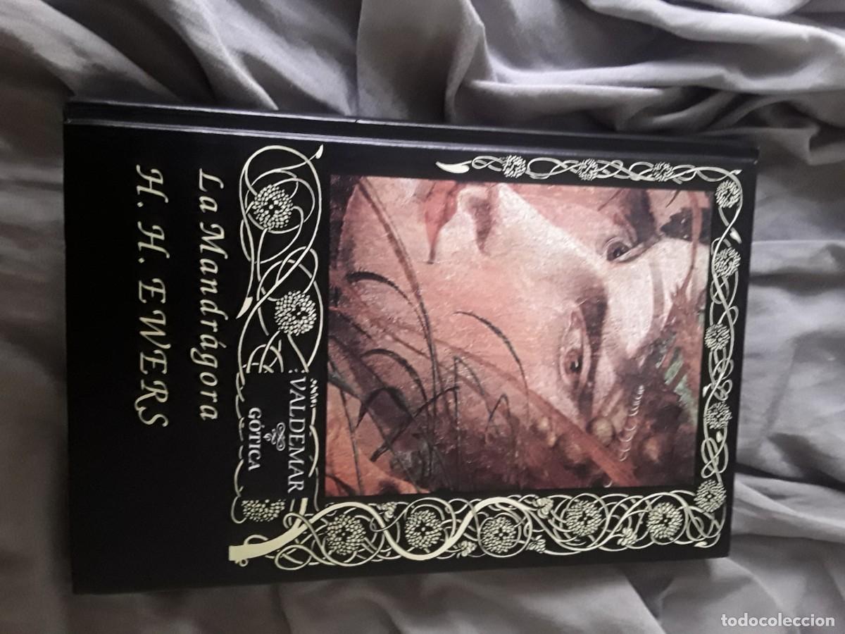 Libros de segunda mano: La Mandr&aacute;gora, de HH Ewers. Valdemar G&oacute;tica, 1993 (1&ordf; edici&oacute;n)