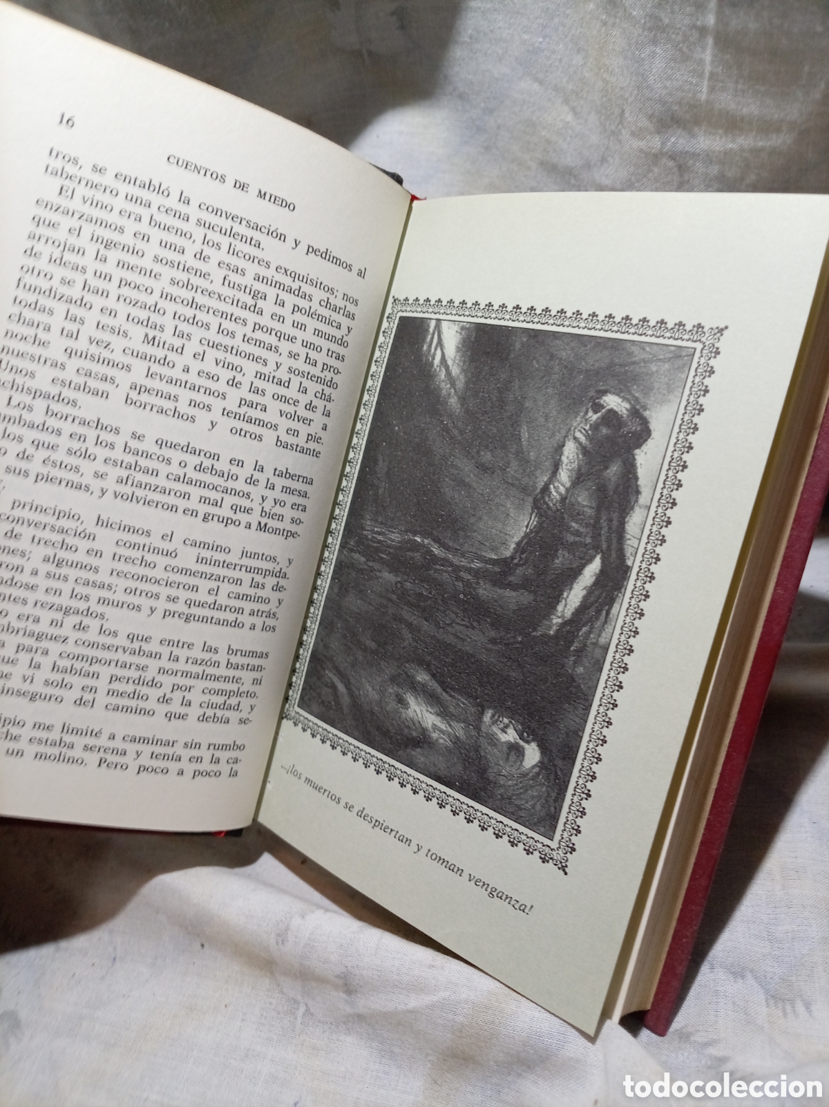 Libros de segunda mano: CUENTOS DE MIEDO DE CLAUDE VIGNON, EDICIONES DEL ARCE - Foto 4