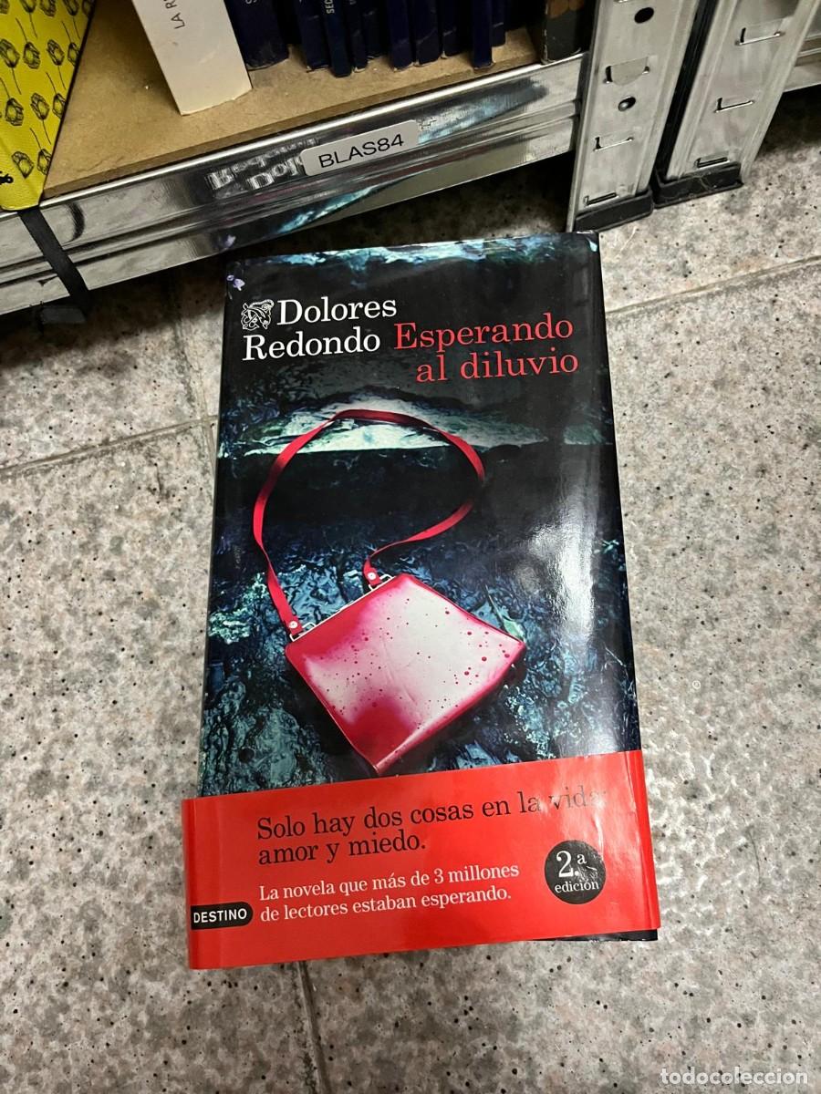 Libros de segunda mano: BLAS84 &ndash; Esperando al diluvio &ndash; Dolores Redondo. Editorial Destino. Novela negra y suspense.