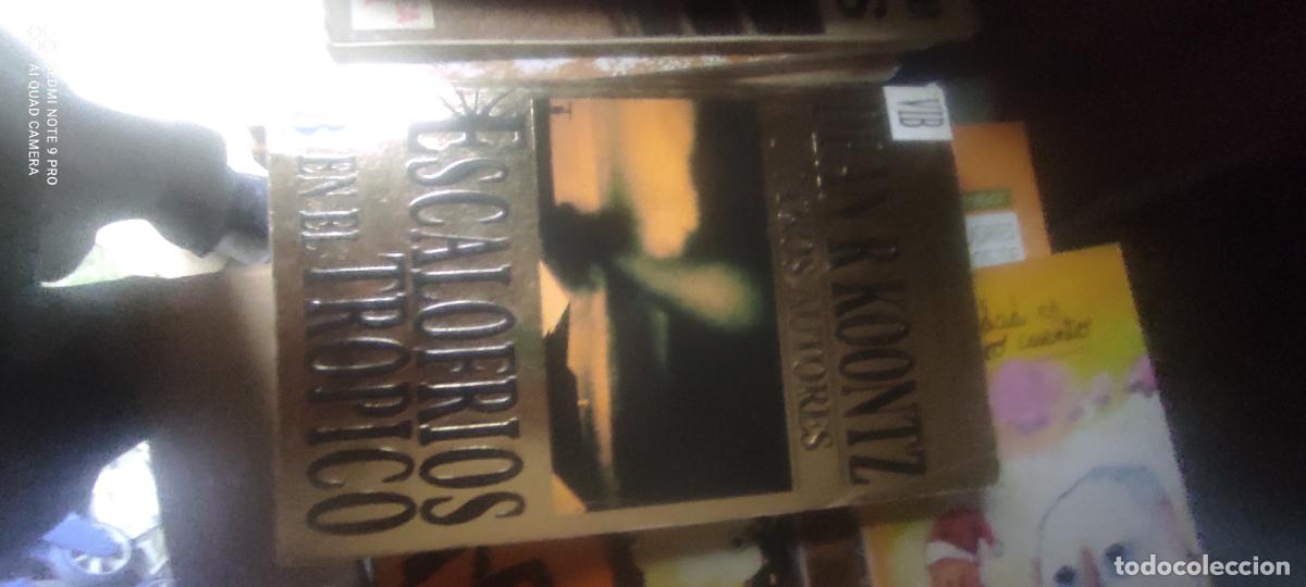 Libros de segunda mano: DEAN R. KOONTZ Y OTROS AUTORES. ESCALOFRIOS EN EL TROPICO. EDICIONES B