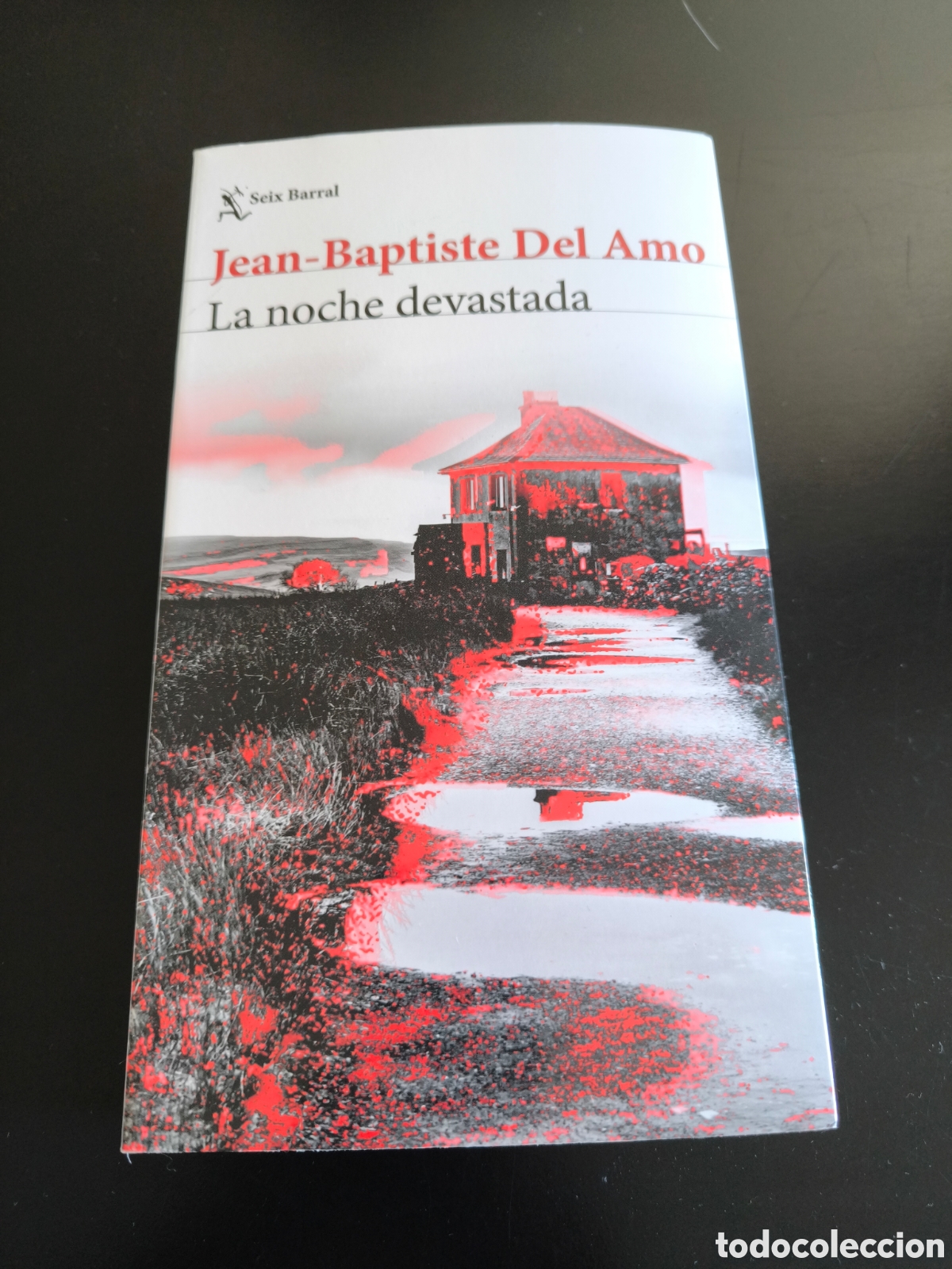 Libros de segunda mano: La.noche devastada. Jean baptiste del amo