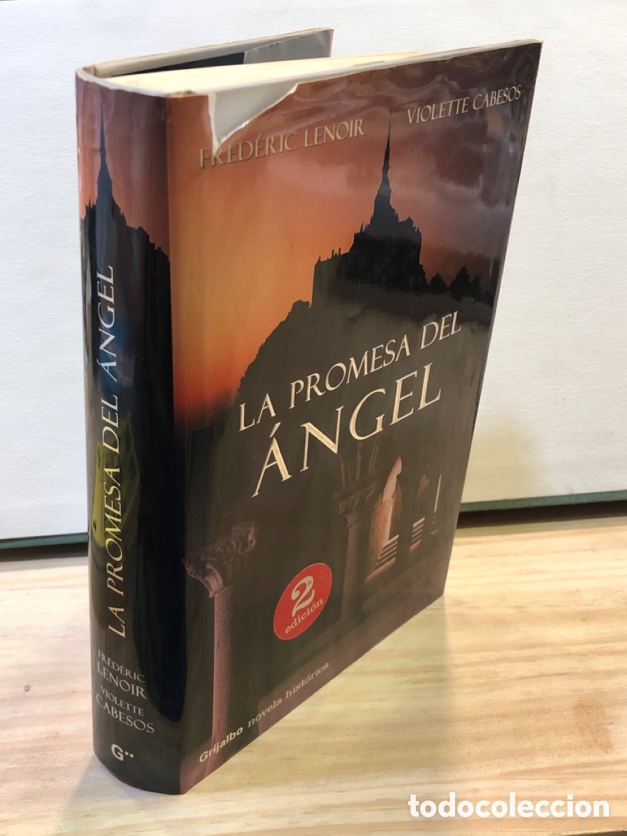 Libros de segunda mano: Frederic Lenoir, Violette Cabesos - La promesa del &aacute;ngel