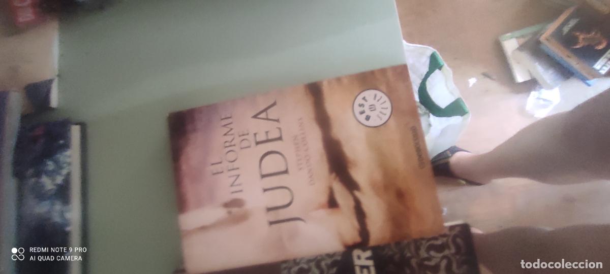 Libros de segunda mano: EL INFORME DE JUDEA -- STEPHEN DANDO COLLINS -- GRIJALBO -
