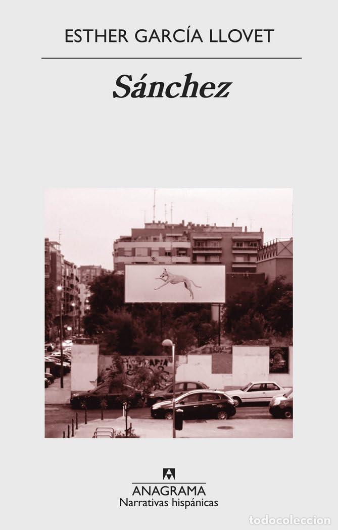 Livros em segunda m&atilde;o: S&aacute;nchez: 618 (Narrativas hisp&aacute;nicas)