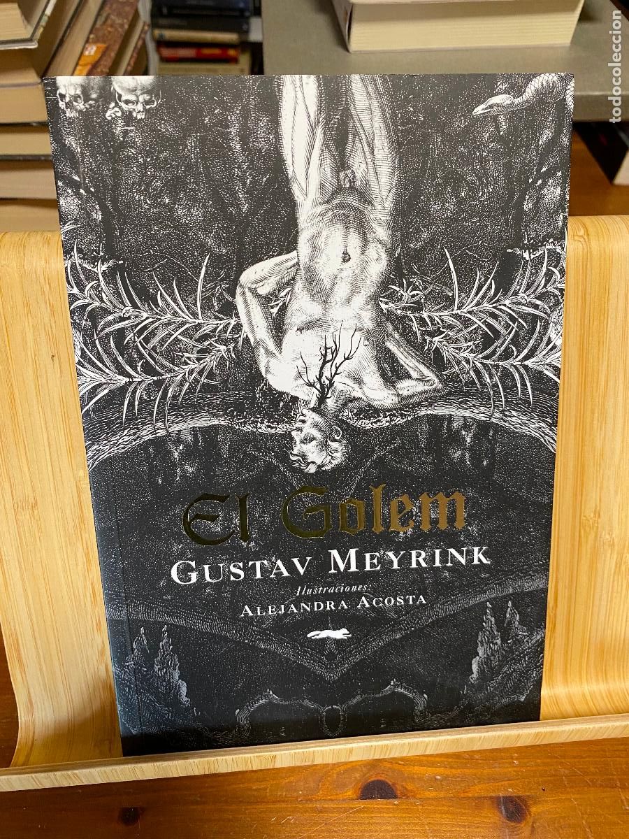 Libros de segunda mano: EL GOLEM. GUSTAV MEYRINK. ILUSTRA ALEJANDRA ACOSTA. EDITORIAL LIBROS DEL ZORRO ROJO