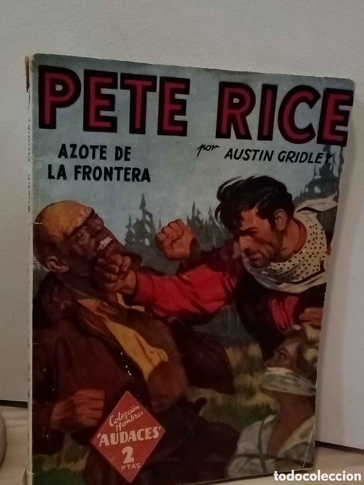 Libros de segunda mano: Pete Rice N&deg;17. Azote de la frontera. Austin Gridley
