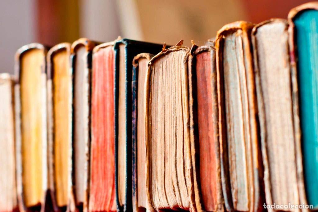 Libros de segunda mano: El retrato de rose madder