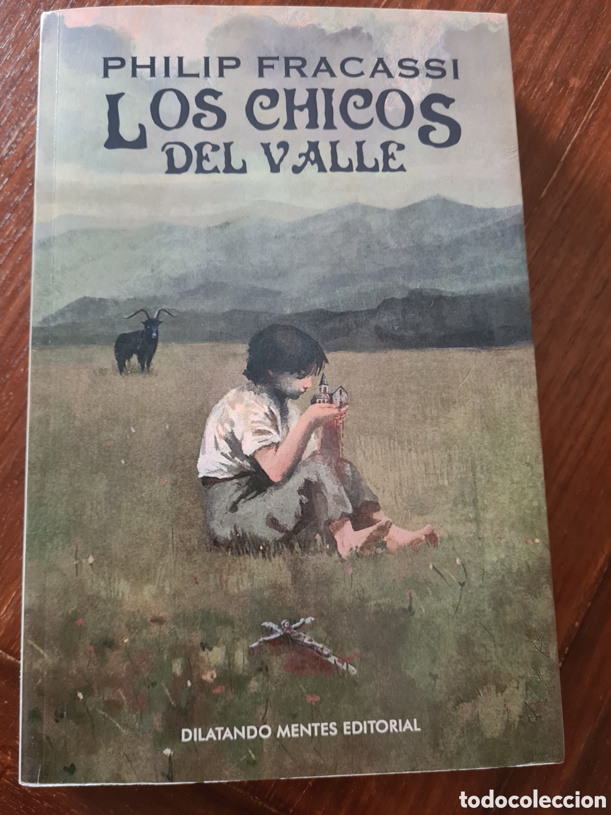 Libros de segunda mano: Los chicos del valle Philip Fracassi