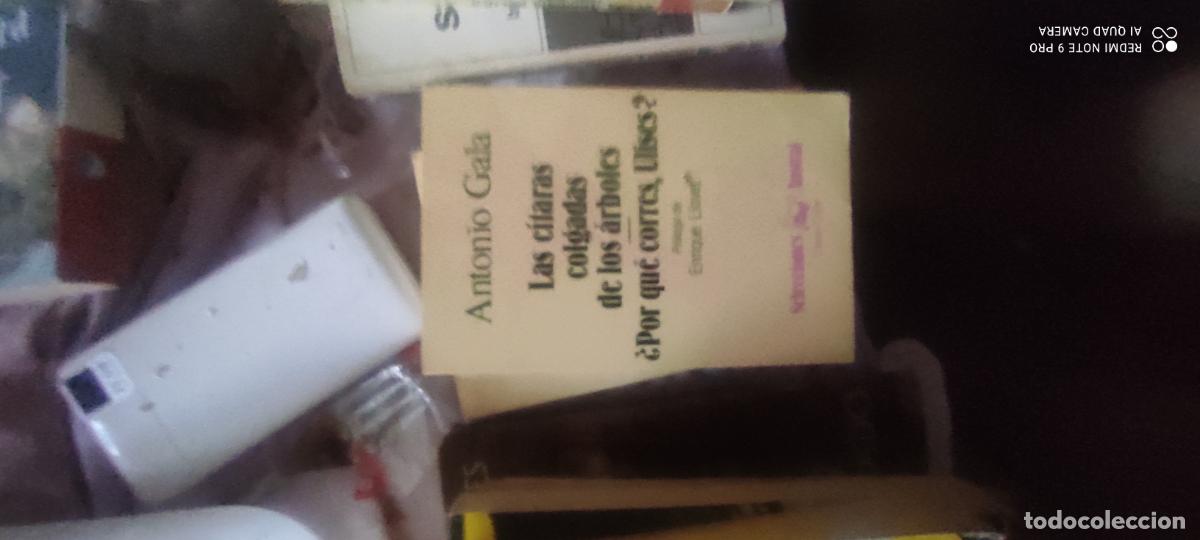 Libros de segunda mano: LAS C&Iacute;TARAS COLGADAS DE LOS &Aacute;RBOLES &iquest;POR QU&Eacute; CORRES, ULISES? SELECCIONES AUSTRAL Espasa Calpe,