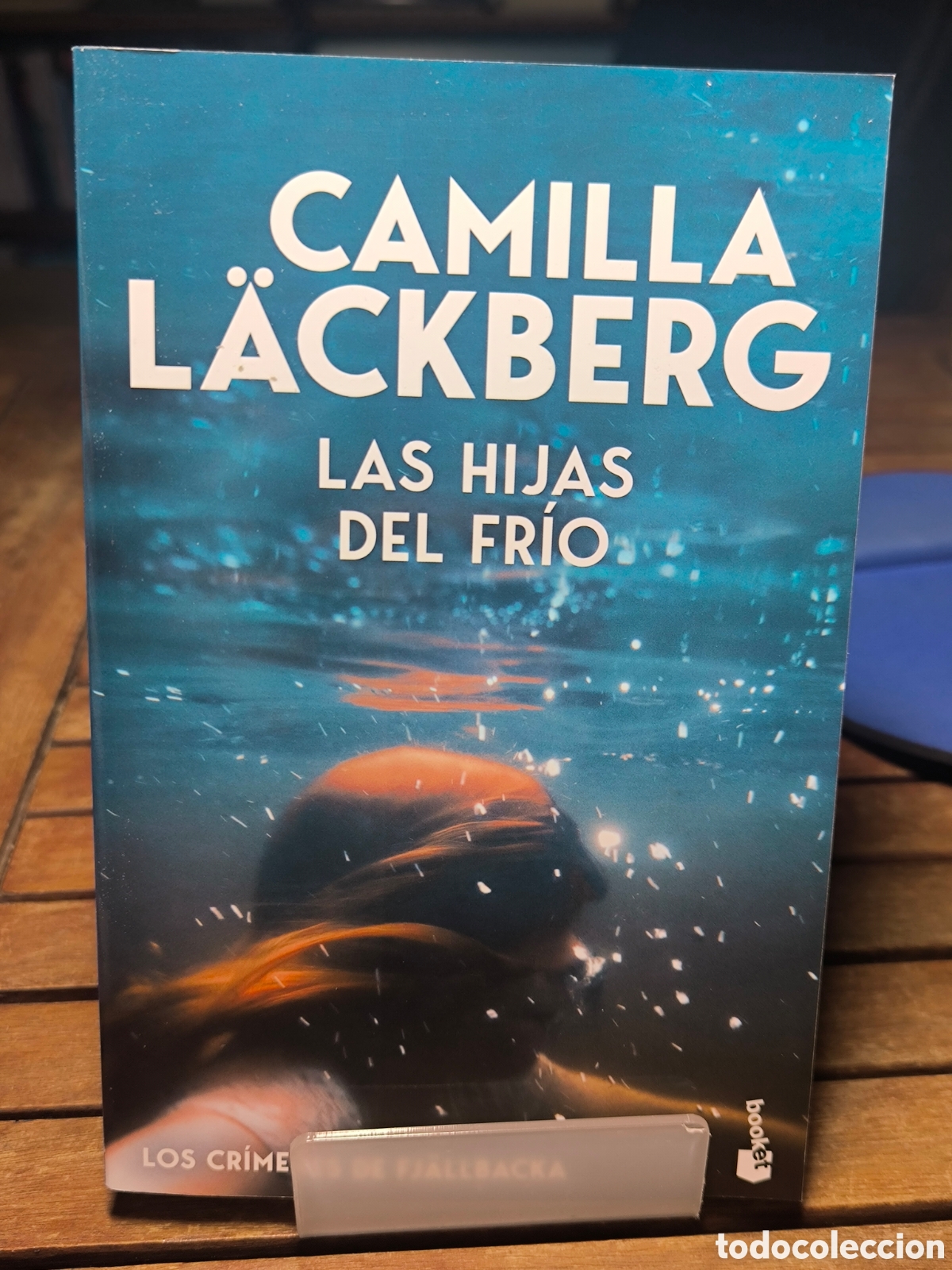 Libros de segunda mano: Las hijas del fr&iacute;o (Los cr&iacute;menes de Fj&auml;llbacka) Camilla L&auml;ckberg 2026