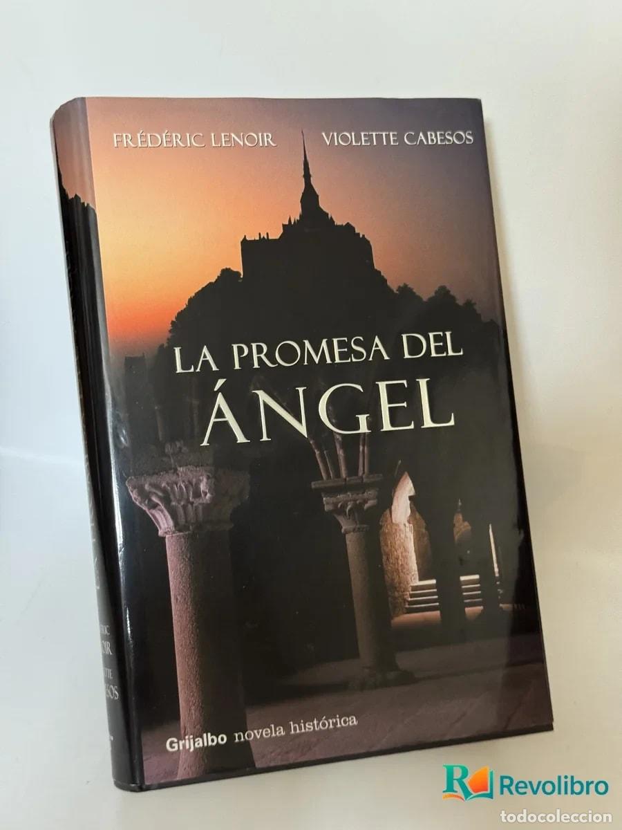 Libros de segunda mano: La Promesa del &Aacute;ngel - Fr&eacute;d&eacute;ric Lenoir, Violette Cabesos