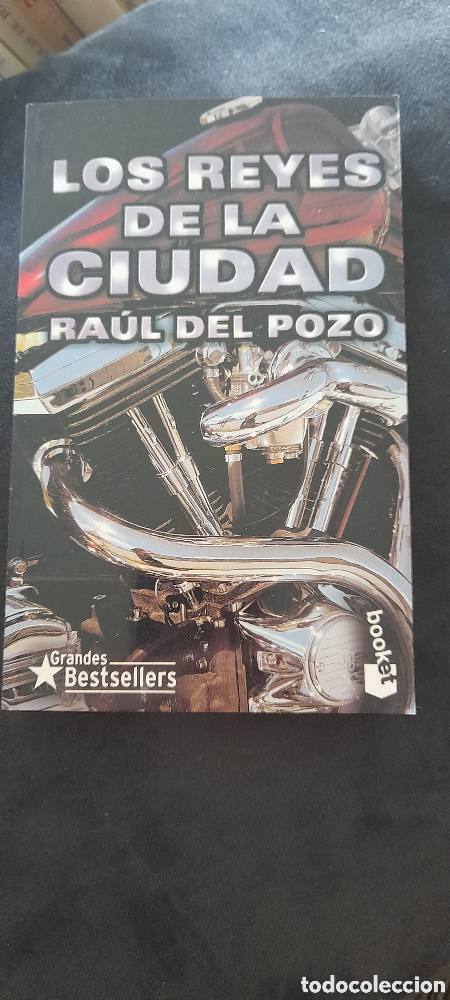 Libros de segunda mano: Los reyes de la ciudad. Ra&uacute;l del pozo