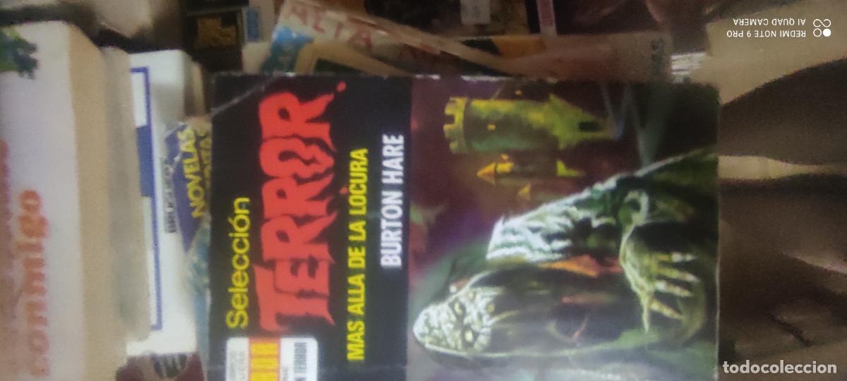 Libros de segunda mano: Selecci&oacute;n Terror. Autor: Burton Hare. N&uacute;mero 103: M&aacute;s all&aacute; de la locura