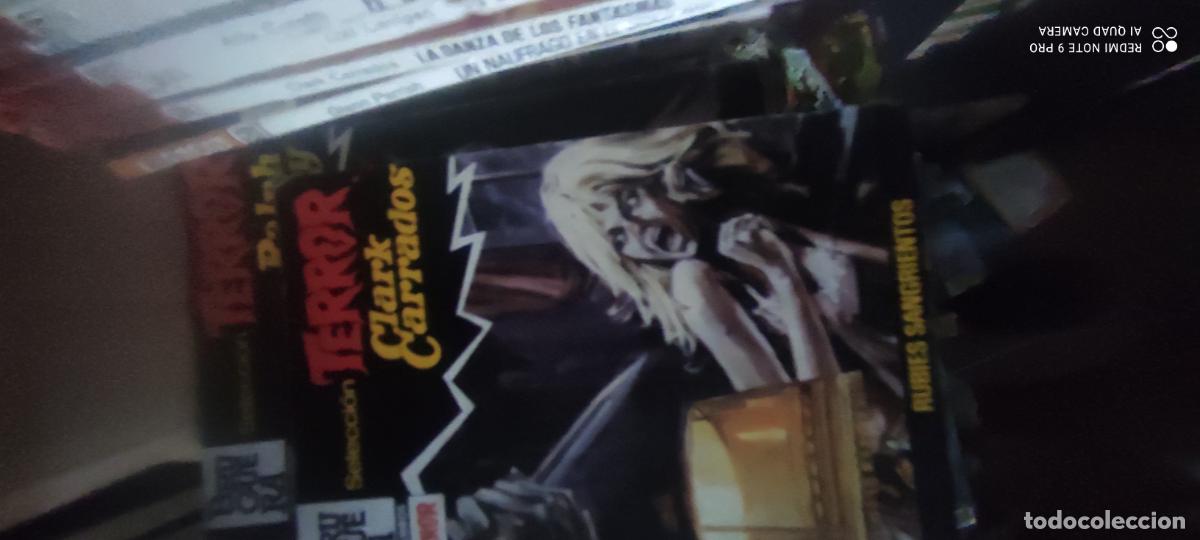 Libros de segunda mano: SELECCI&Oacute;N TERROR. N&ordm; 566. RUB&Iacute;ES SANGRIENTOS. CLARK CARRADOS. BRUGUERA