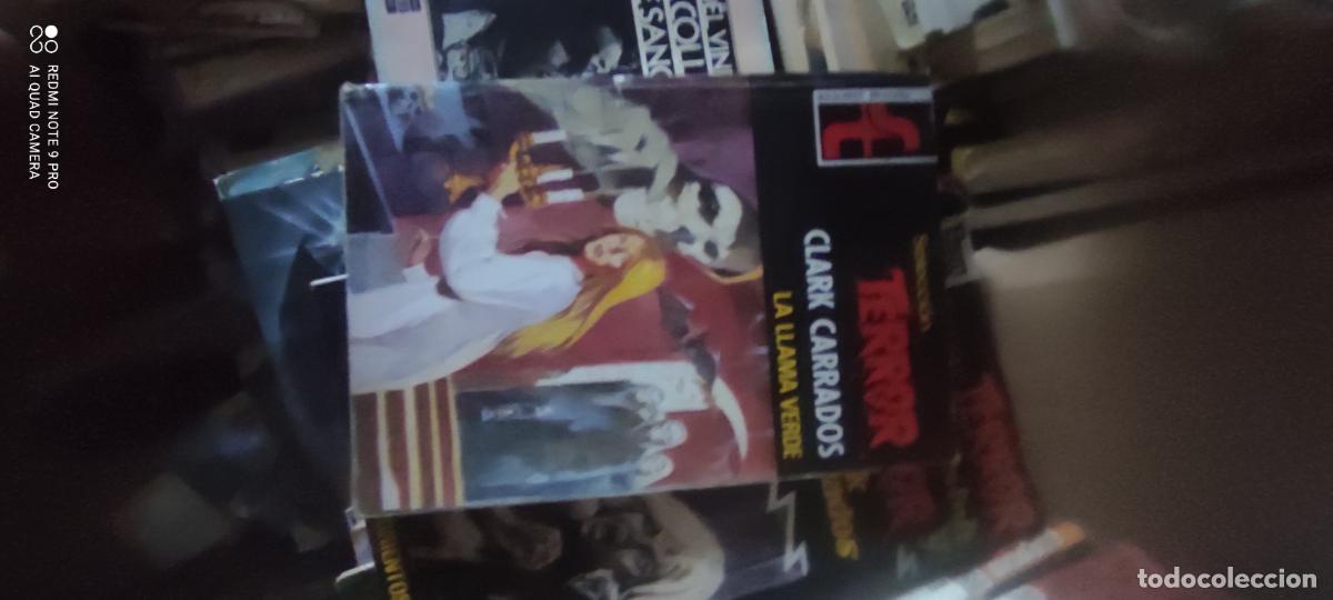 Libros de segunda mano: SELECCI&Oacute;N TERROR N&ordm; 289. LA LLAMA VERDE. CLARK CARRADOS BOLSILIBROS BRUGUERA